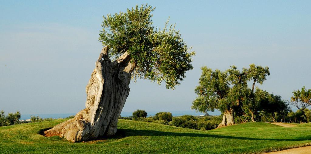 Albergo Masseria Refrigerio オストゥーニ エクステリア 写真